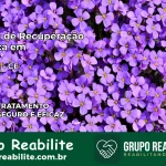 Clínica de Recuperação Católica em Acarape | Internação 24h