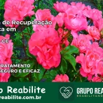 Clínica de Recuperação Católica em Acaraú | Internação 24h