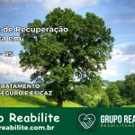 Clínica de Recuperação Católica em Aceguá | Internação 24h