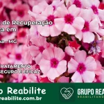 Clínica de Recuperação Católica em Água Boa | Internação 24h