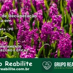 Clínica de Recuperação Católica em Água Preta | Internação 24h