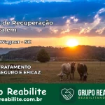 Clínica de Recuperação Católica em Alfredo Wagner | Internação 24h