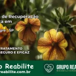 Clínica de Recuperação Católica em Alto Alegre | Internação 24h