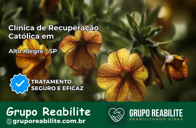 Clínica de Recuperação Católica em Alto Alegre | Internação 24h