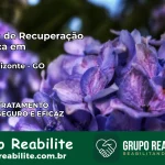 Clínica de Recuperação Católica em Alto Horizonte | Internação 24h