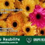 Clínica de Recuperação Católica em Altos | Internação 24h