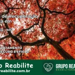 Clínica de Recuperação Católica em Anastácio | Internação 24h