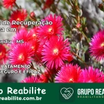 Clínica de Recuperação Católica em Anaurilândia | Internação 24h