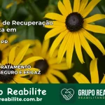 Clínica de Recuperação Católica em Andirá | Internação 24h