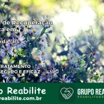 Clínica de Recuperação Católica em Anta Gorda | Internação 24h