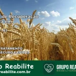 Clínica de Recuperação Católica em Aperibé | Internação 24h