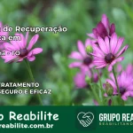 Clínica de Recuperação Católica em Araguanã | Internação 24h