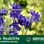 Clínica de Recuperação Católica em Araquari | Internação 24h