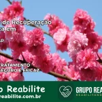 Clínica de Recuperação Católica em Arujá | Internação 24h