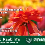 Clínica de Recuperação Católica em Baião | Internação 24h