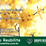 Clínica de Recuperação Católica em Balneário Camboriú | Internação 24h