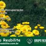 Clínica de Recuperação Católica em Barra Longa | Internação 24h
