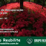 Clínica de Recuperação Católica em Blumenau | Internação 24h