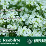 Clínica de Recuperação Católica em Boa Vista das Missões | Internação 24h
