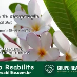 Clínica de Recuperação Católica em Boa Vista do Buricá | Internação 24h