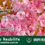 Clínica de Recuperação Católica em Bom Jesus de Goiás | Internação 24h