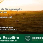 Clínica de Recuperação Católica em Bom Progresso | Internação 24h