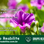 Clínica de Recuperação Católica em Bom Sucesso do Sul | Internação 24h