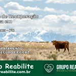 Clínica de Recuperação Católica em Borborema | Internação 24h