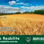 Clínica de Recuperação Católica em Braganey | Internação 24h