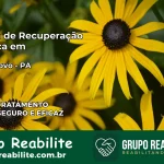 Clínica de Recuperação Católica em Brasil Novo | Internação 24h