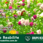 Clínica de Recuperação Católica em Brasilândia de Minas | Internação 24h