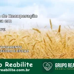 Clínica de Recuperação Católica em Brejão | Internação 24h