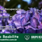 Clínica de Recuperação Católica em Buriti dos Lopes | Internação 24h