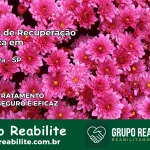 Clínica de Recuperação Católica em Cabreúva | Internação 24h
