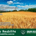 Clínica de Recuperação Católica em Cajari | Internação 24h