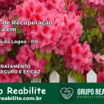 Clínica de Recuperação Católica em Campina da Lagoa | Internação 24h