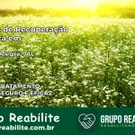 Clínica de Recuperação Católica em Campo Alegre | Internação 24h