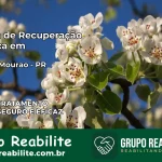 Clínica de Recuperação Católica em Campo Mourão | Internação 24h