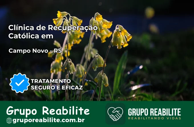 Clínica de Recuperação Católica em Campo Novo | Internação 24h