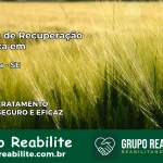 Clínica de Recuperação Católica em Canhoba | Internação 24h