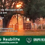 Clínica de Recuperação Católica em Canitar | Internação 24h
