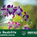 Clínica de Recuperação Católica em Carrasco Bonito | Internação 24h