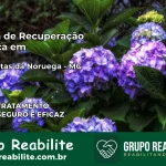 Clínica de Recuperação Católica em Catas Altas da Noruega | Internação 24h