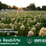 Clínica de Recuperação Católica em Catuípe | Internação 24h