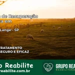 Clínica de Recuperação Católica em Cesário Lange | Internação 24h