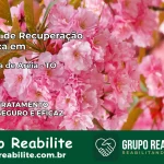 Clínica de Recuperação Católica em Chapada de Areia | Internação 24h