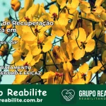 Clínica de Recuperação Católica em Chavantes | Internação 24h