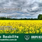Clínica de Recuperação Católica em Cocalzinho de Goiás | Internação 24h