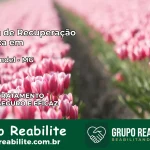 Clínica de Recuperação Católica em Coromandel | Internação 24h