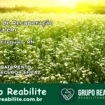 Clínica de Recuperação Católica em Coronel Ezequiel | Internação 24h